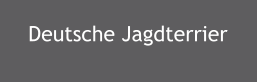 Deutsche Jagdterrier